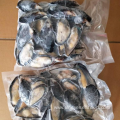 Frozen Half Shell Mussels